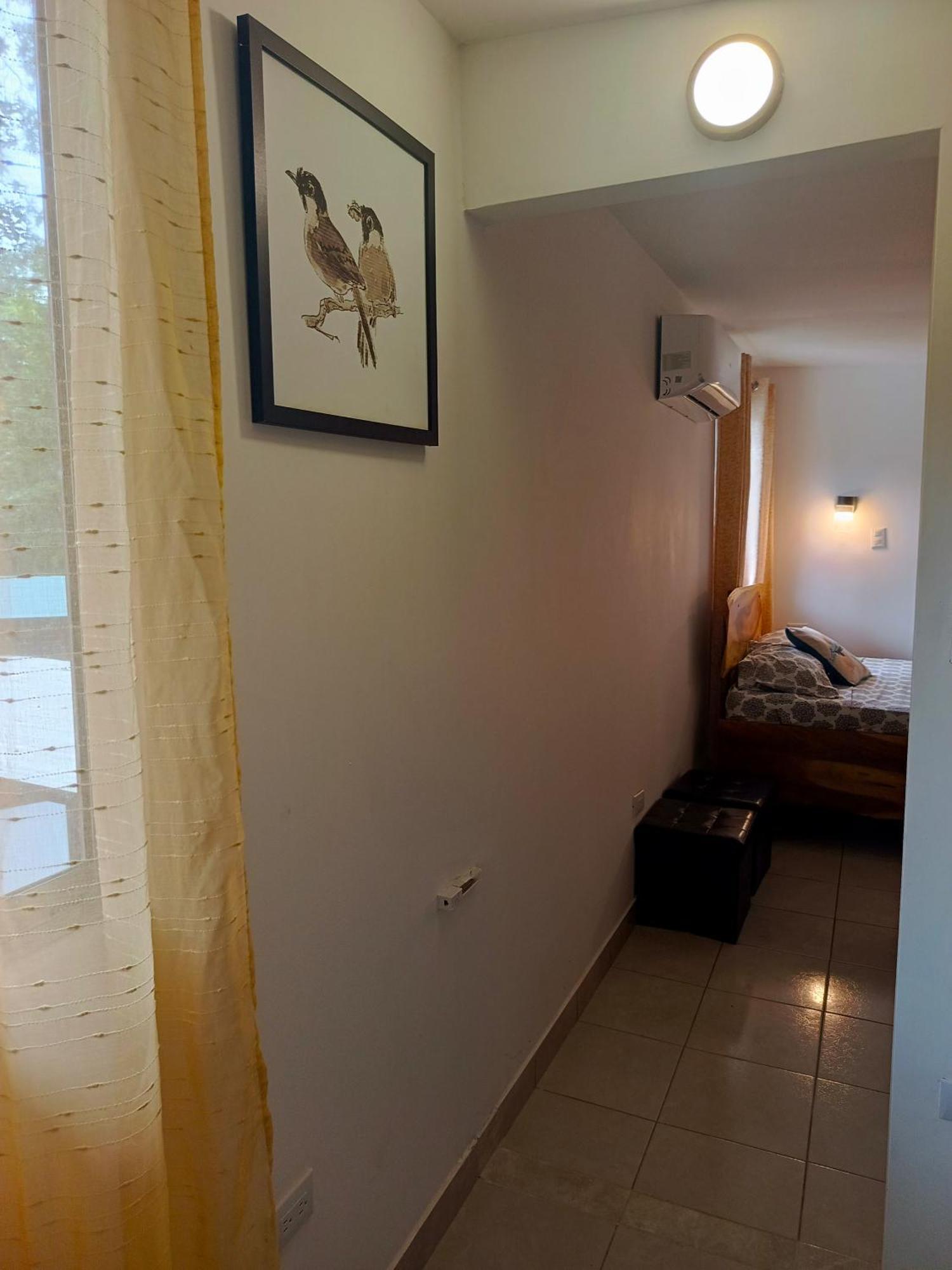 Hotel Boutique D Angelo Manzanillo  Buitenkant foto