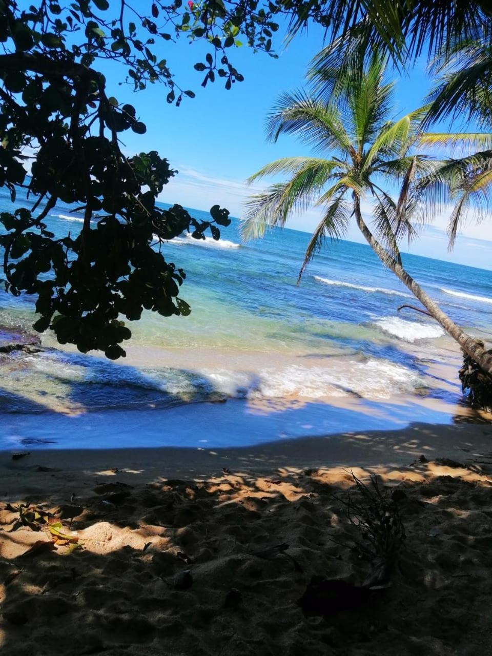 Hotel Boutique D Angelo Manzanillo  Buitenkant foto