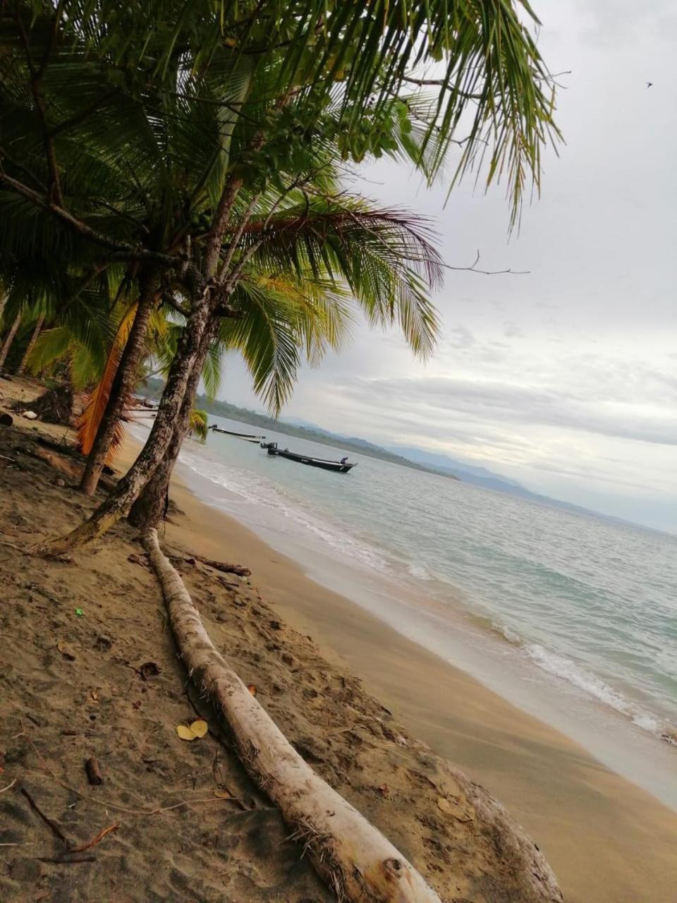 Hotel Boutique D Angelo Manzanillo  Buitenkant foto